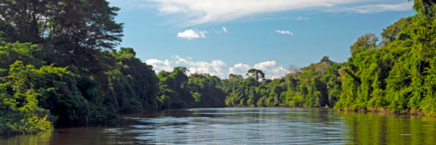 Alta Floresta