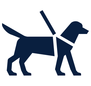 Ilustração de um cachorro com coleira.