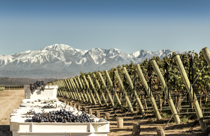 Mendoza