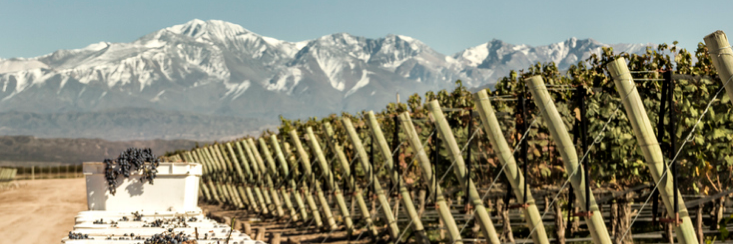 Voos para Mendoza